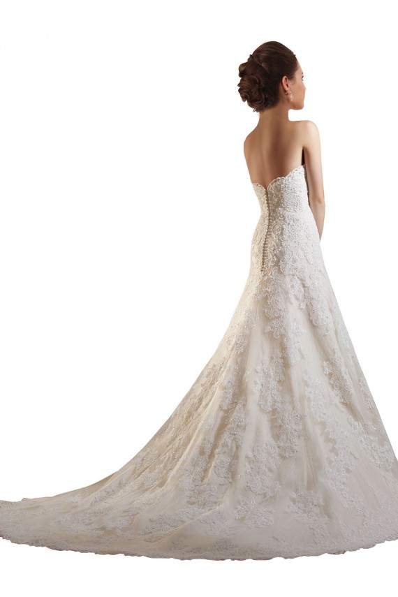 Ivoire & Champagne Trapèze Tulle Dentelle Robes de mariée Pas Chère